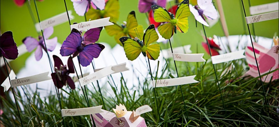 Butterflies on the Lakes