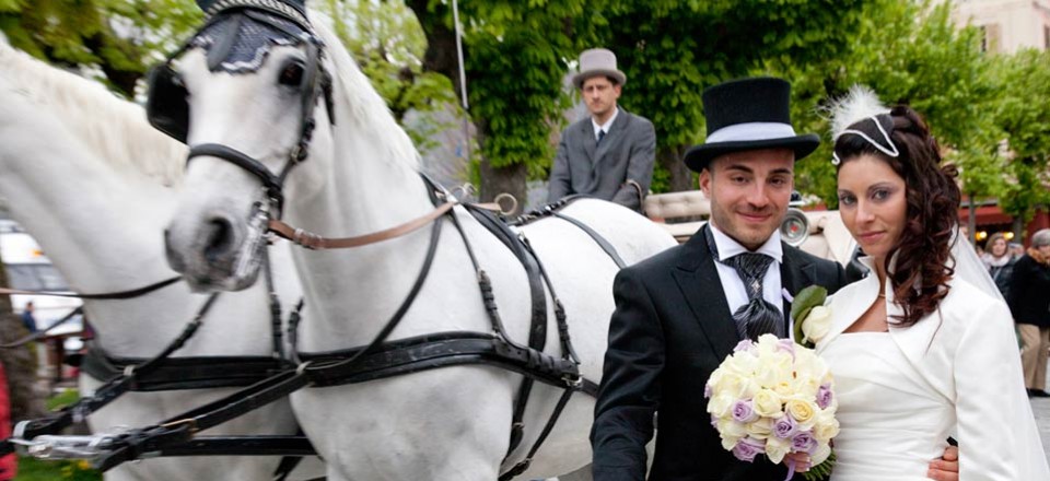 White Wedding horse and carriage
