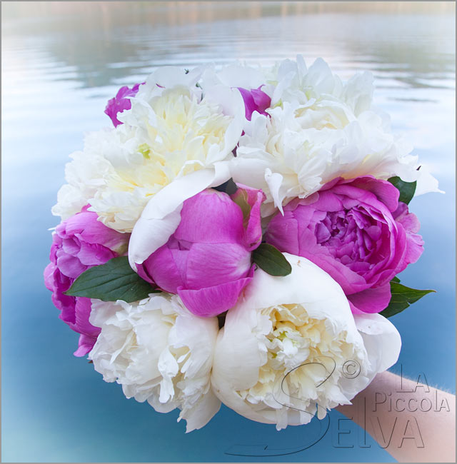 pink peonies bridal bouquet in Italy
