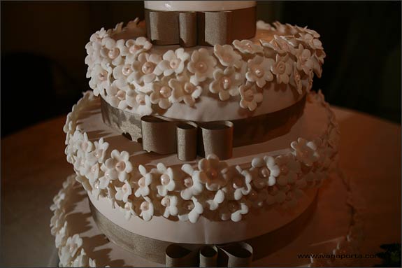 Once again wedding cake matched perfectly the theme Suzanne chose