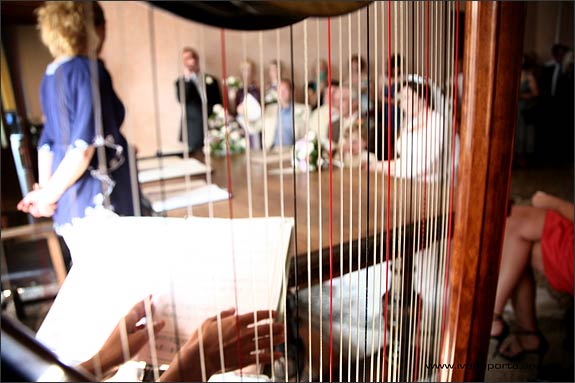 Wedding-harpist-in-Verbania