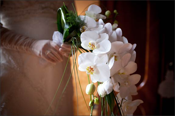 It was made of a long and wonderful fall of Phalaenopsis orchids