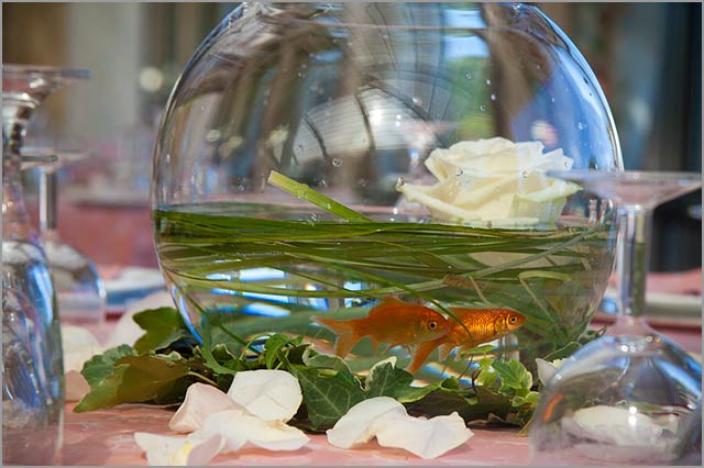 goldfish bowl wedding centerpieces. wedding we mentioned last