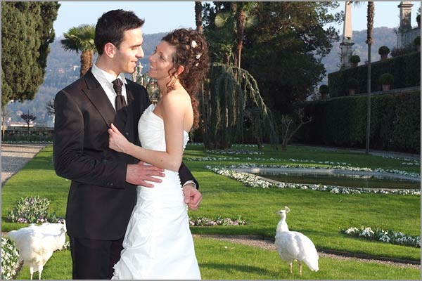 wedding-with-white-peacocks-on-Isola-Bella