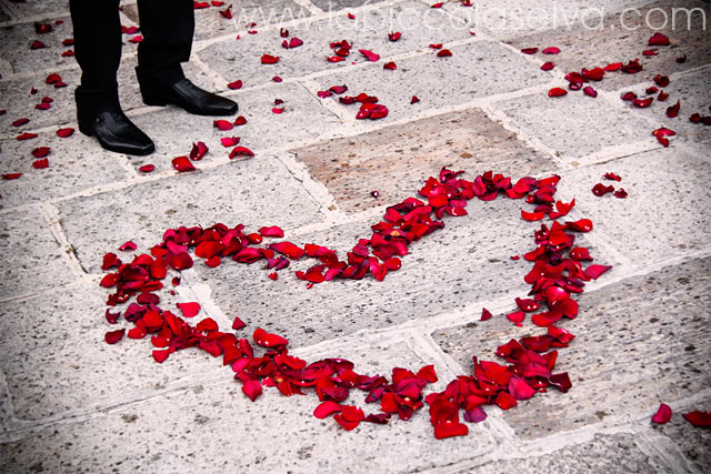 wedding red petals heart