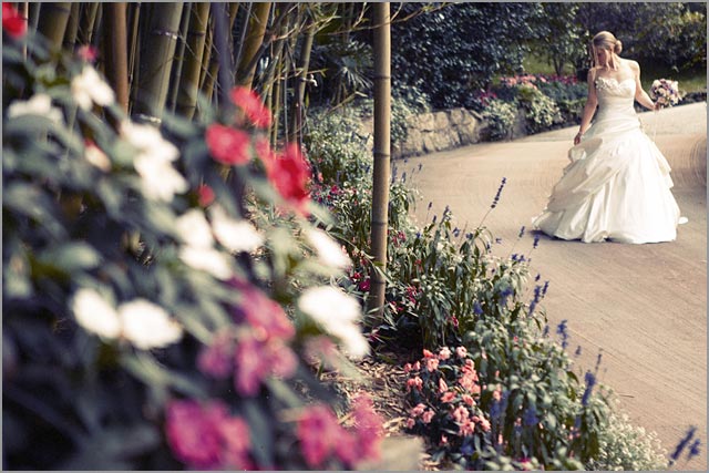 lake Maggiore wedding photographer lake Maggiore wedding photographer