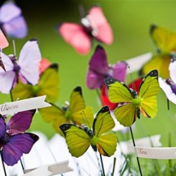 BUTTERFLIES ON THE LAKE