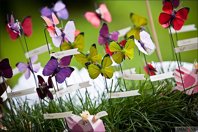 butterflies themed wedding in Italy