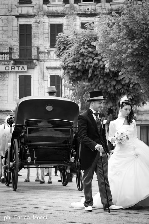 carriage-with-white-horses-wedding