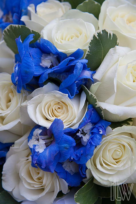 blue-flowers-for-weddings