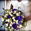 Purple inspiration!
