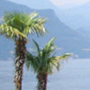 Wedding in Bellagio, Lake Como