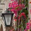 Weddings in Torri del Benaco