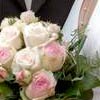Weddings in Torri del Benaco