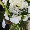 Civil Weddings at Villa San Remigio, Pallanza