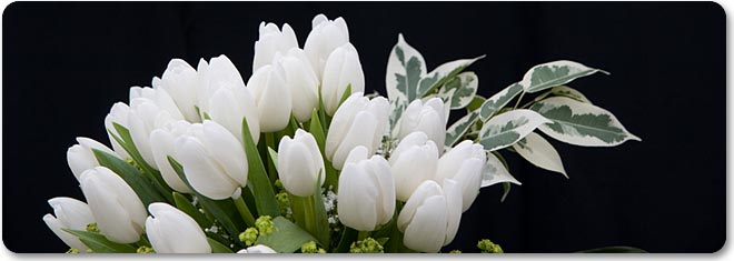 tulips-flowers-wedding-bouquet