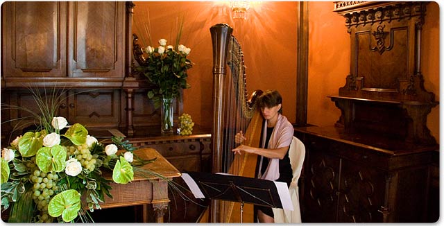 Italian Wedding Harpist