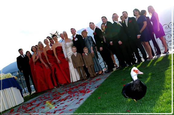 open-air-wedding-lake-orta