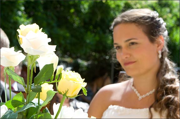 Yellow-roses-wedding