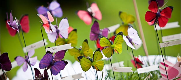 BUTTERFLIES ON THE LAKE