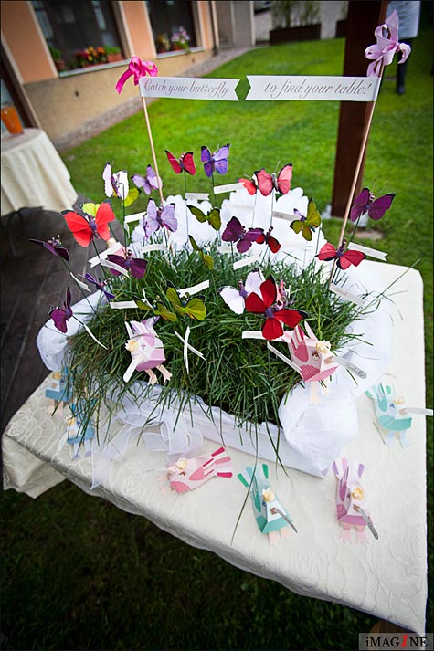 butterflies table plain in Italy