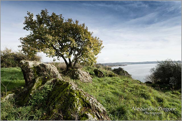 wedding planner in Trevignano lake Bracciano Rome