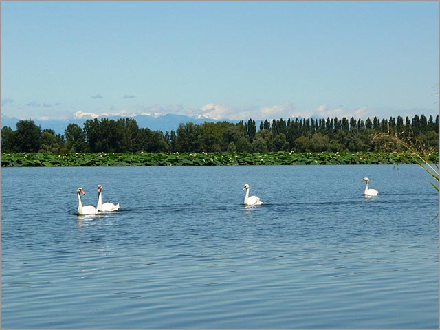 lakes of Mantova weddings