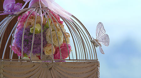 Butterflies themed wedding