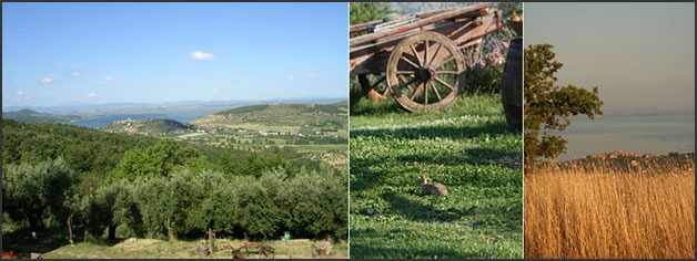 country-weddings-Lake-Trasimeno-Umbria