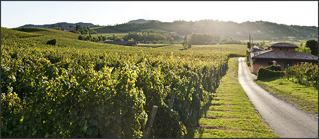 vineyard-weddings-in-Franciacorta-Lake-Iseo