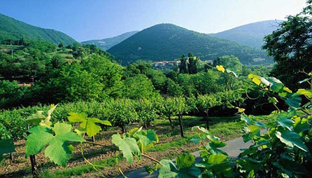 vineyard-weddings-in-Franciacorta-Lake-Iseo