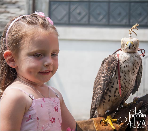 hawk wedding italy