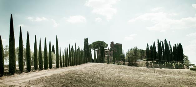 wedding-in-cortona