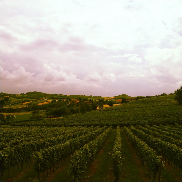 _jewish-wedding-in-Monferrato