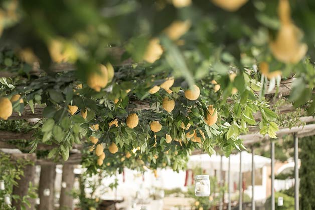 Lemon themed wedding in Italy