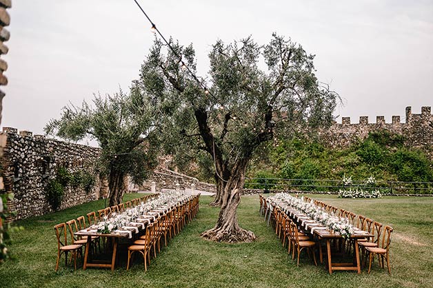 A romantic reception among the olive trees in the garden 