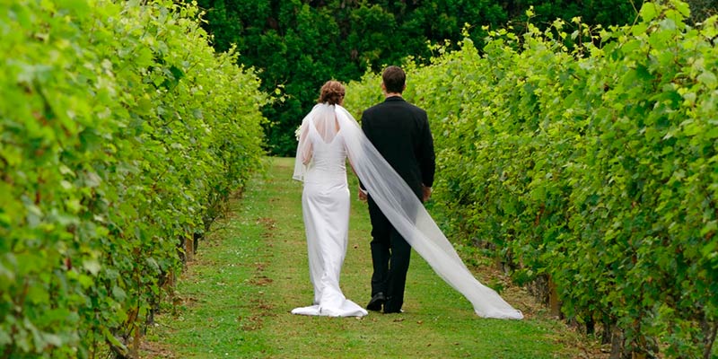 Vineyard weddings in Franciacorta