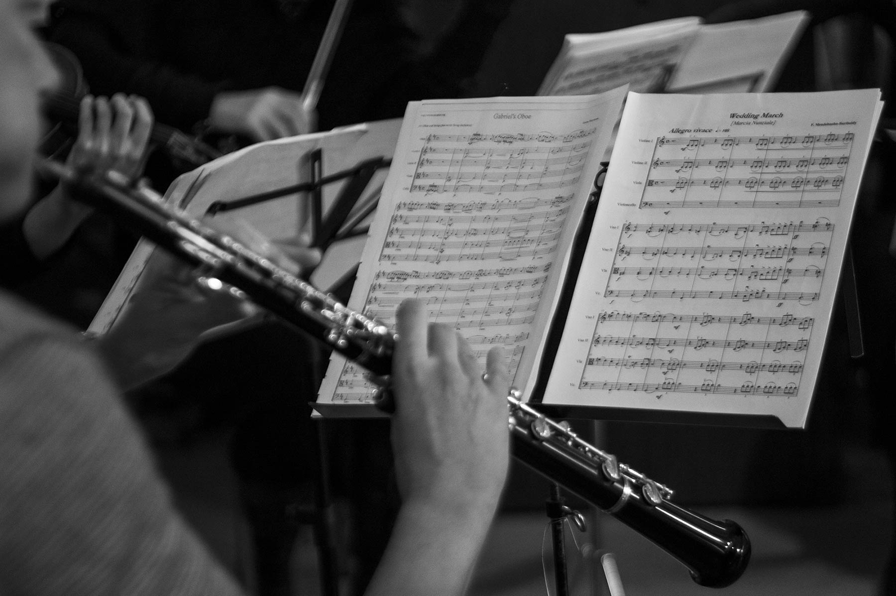 Classic Music for weddings on Lake Maggiore