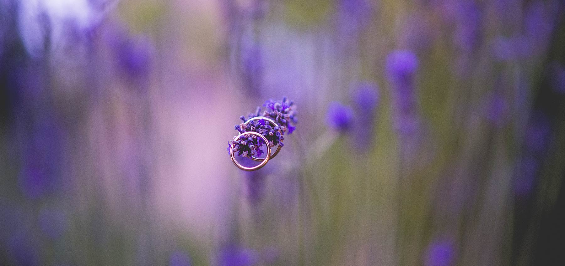 Eleonora Ricappi wedding photographer Omegna lake Orta