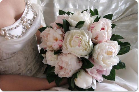 peonies-bouquet