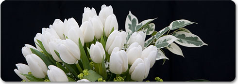 tulips-bouquet
